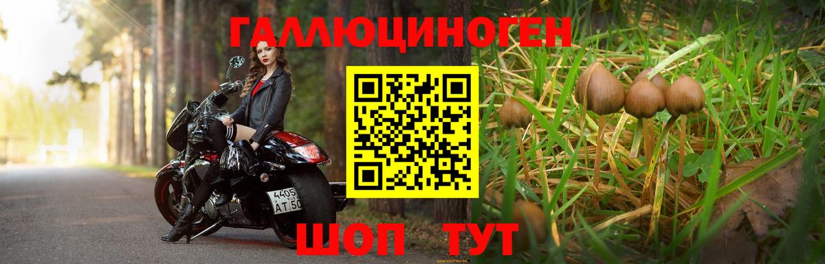 Псилоцибиновые грибы Cubensis  Вход с VPN  Павловский Посад 